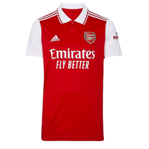 Arsenal kit 2019 kids online