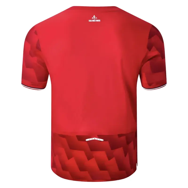25/26 Lille Home Jersey Back