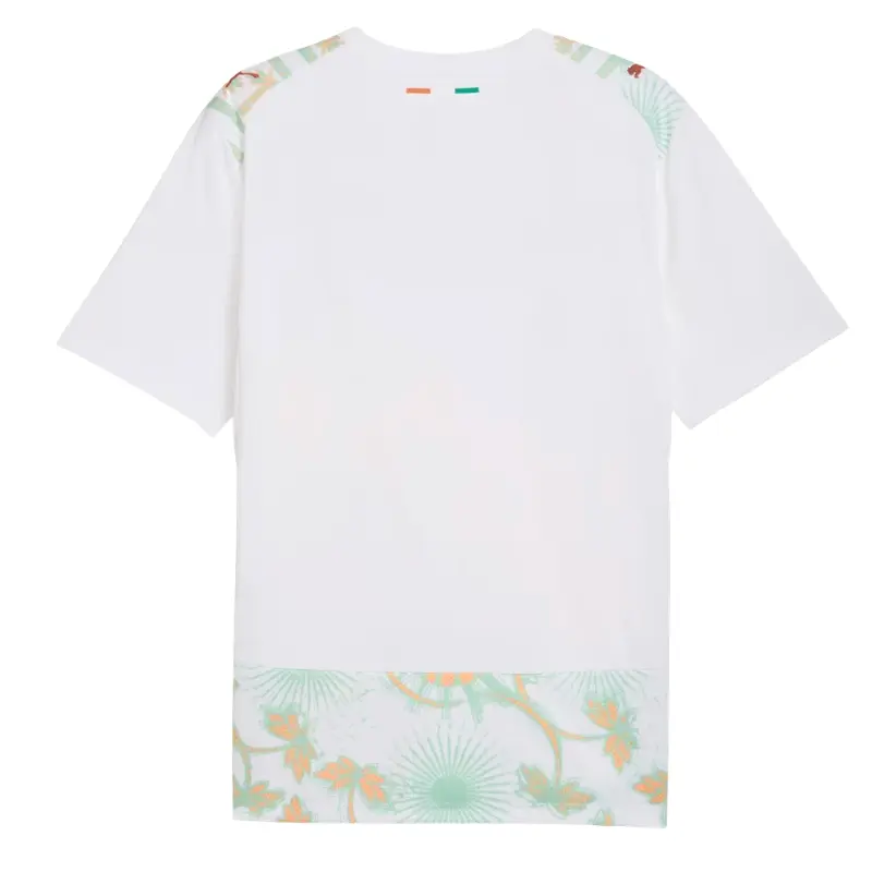2026 Ivory Coast Away Jersey Back